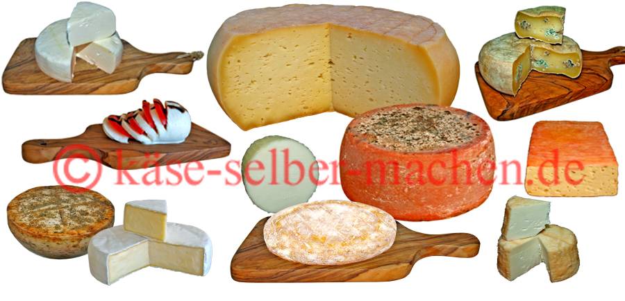 Die Auswahl beim Käse selber machen. 