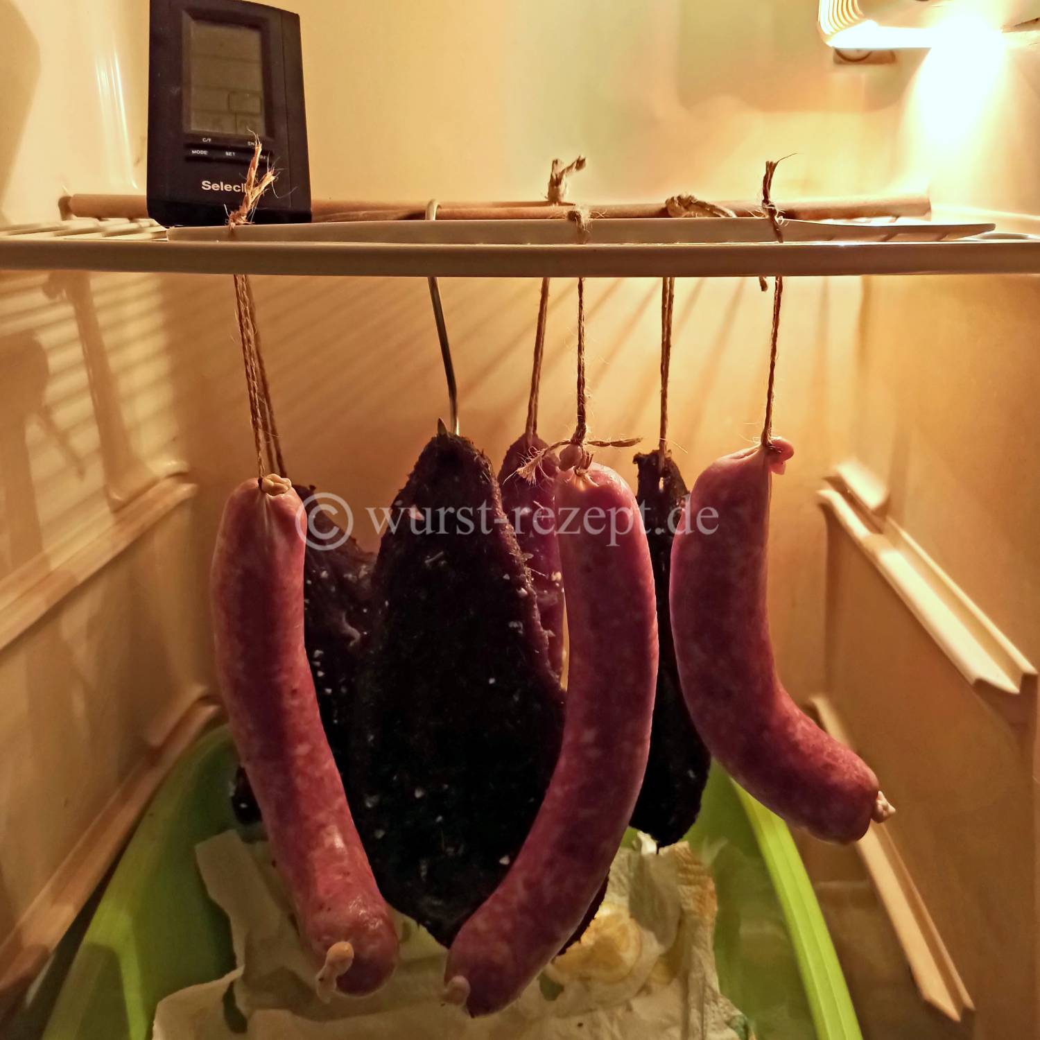 Die Salami Reifung im Kühlschrank.
