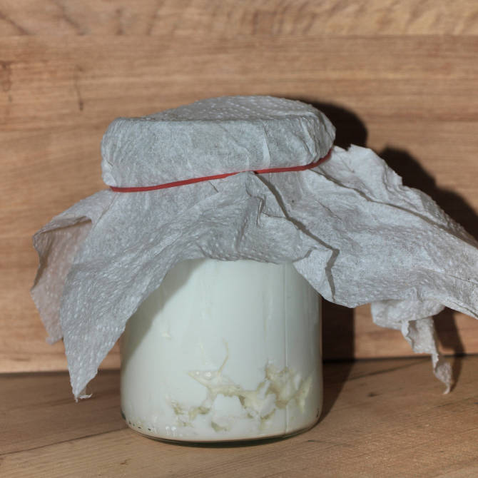 Kefir aus Milch zum Paneer selber machen.